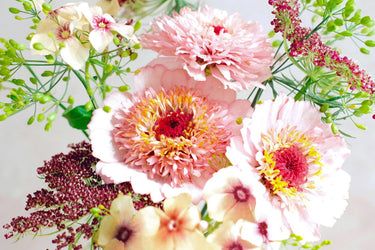 Blumenstrauss zum selber Pflanzen - Wild Bouquets Pink Caramel Collection