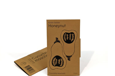 Kürbis Samen - Honeynut