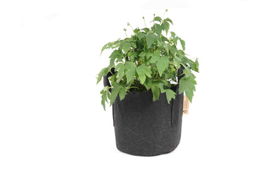 Pflanzsack - 12 LITER