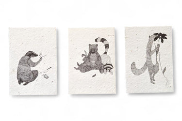 Kartenset aus Samenpapier - Nina Egli
