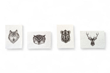 Jeu de cartes en papier graines - animaux de la forêt