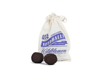 Seedballs Wildblumen