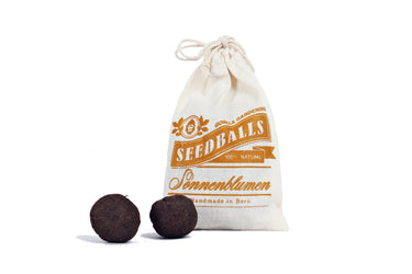 Seedballs Sonnenblumen