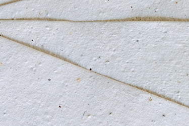 Seedpaper unbedruckt A4 (10 Seiten)