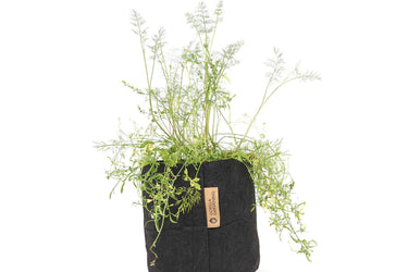 Pflanzsack - 8 LITER